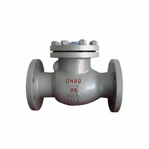 DN50 PN25 介質：甲胺，溫度：80℃止回閥