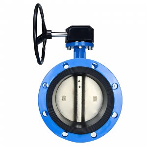 法蘭式蝸輪蝸桿蝶閥DN40，1.6Mpa（橡膠密封