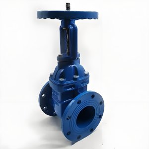 手動(dòng)閘閥Z41T-16 DN50/DN65廠家直銷，上海發(fā)